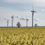 Innovative Companies in Clean Energy: The 2026 Bizleon Top 5 Breakdown