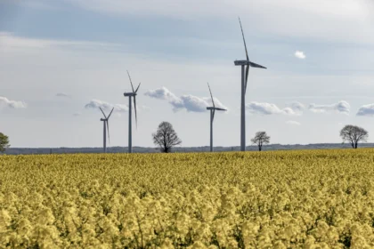 Innovative Companies in Clean Energy: The 2026 Bizleon Top 5 Breakdown