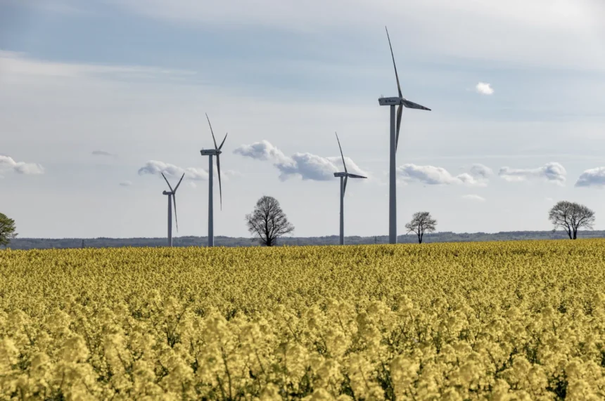 Innovative Companies in Clean Energy: The 2026 Bizleon Top 5 Breakdown